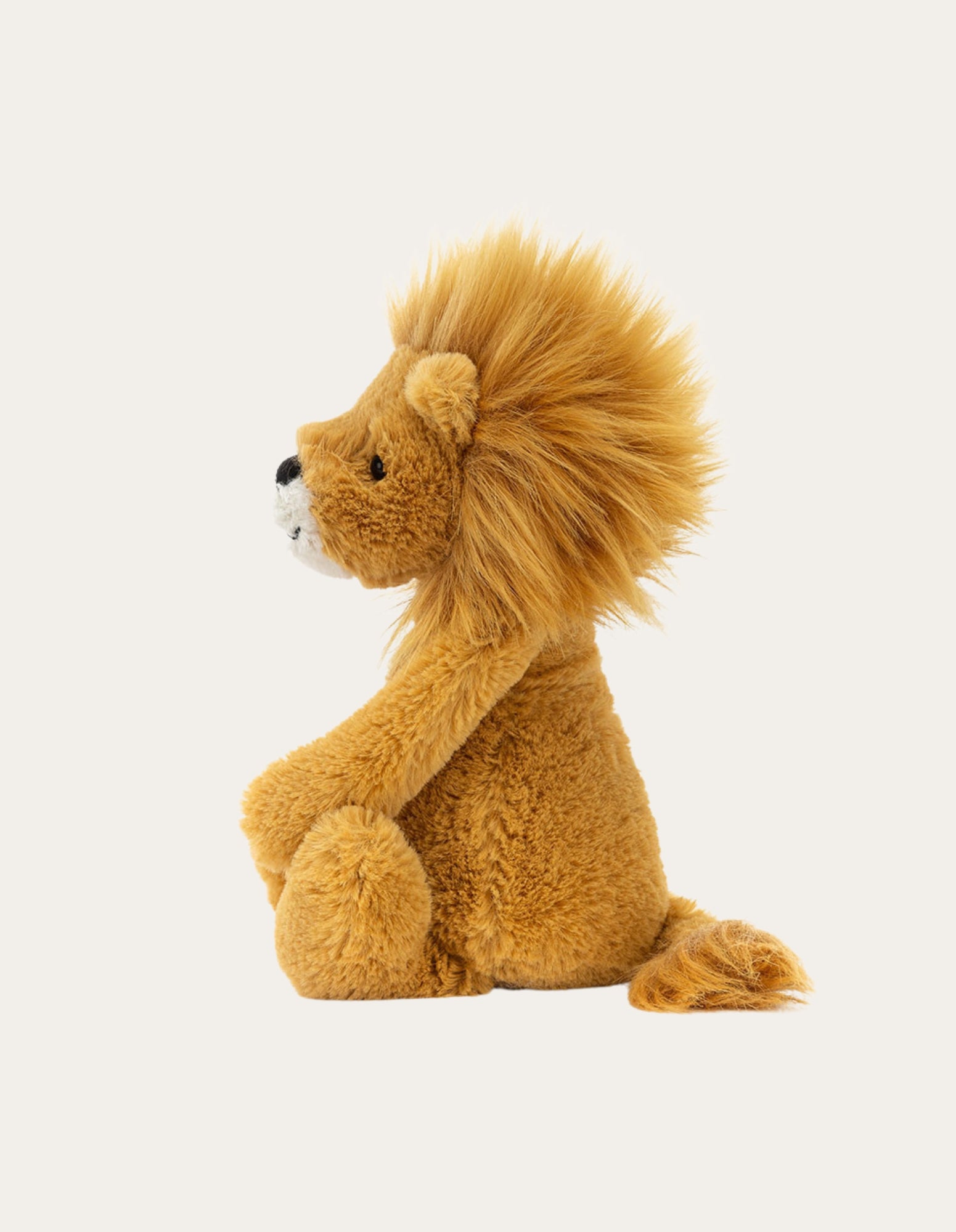 Bashful Lion - Sml - Jellycat